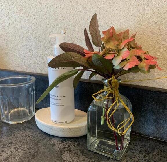 スタンダードルーム, Manoir De Malagorse