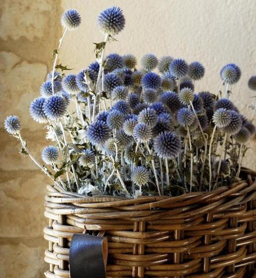 スイート, Manoir De Malagorse