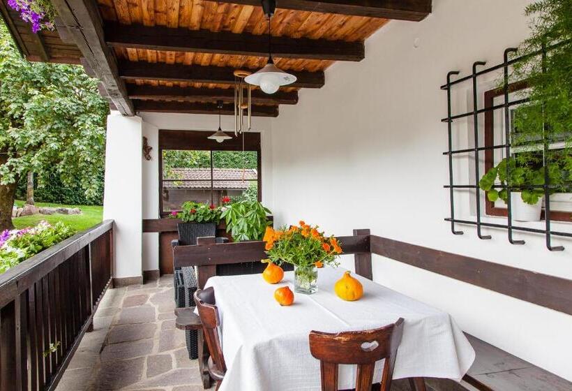 إستوديو قياسى, Merlhof