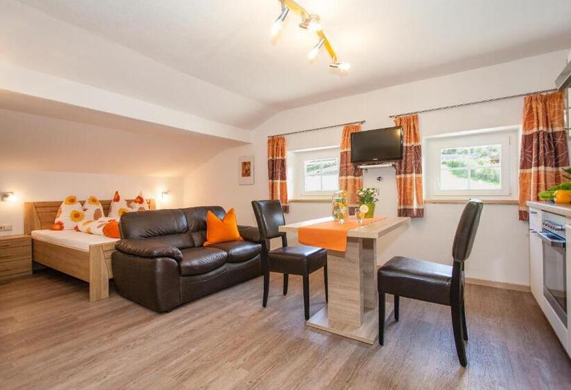 إستوديو قياسى, Merlhof