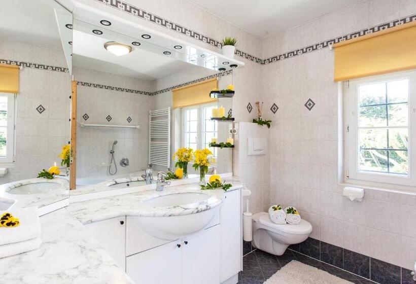 شقة سوبريور غرفة واحدة, Merlhof