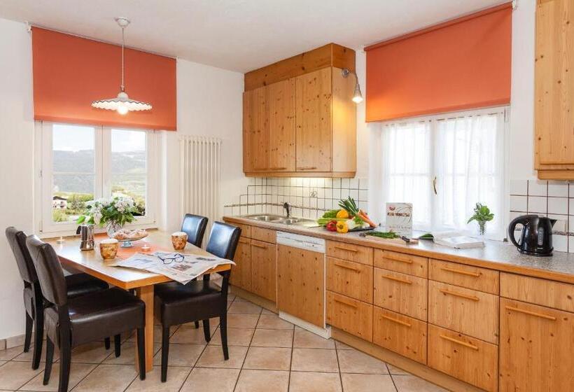 شقة سوبريور غرفة واحدة, Merlhof