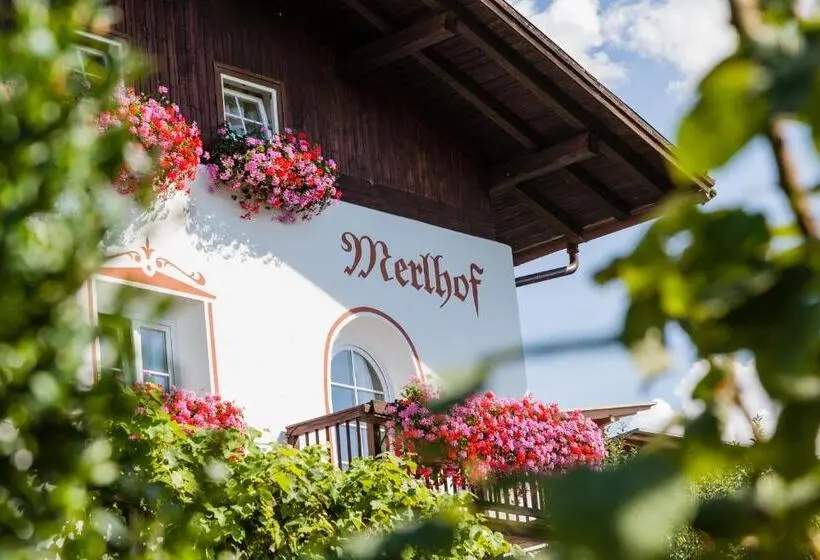 バルコニー付き1ベッドルームアパートメント, Merlhof