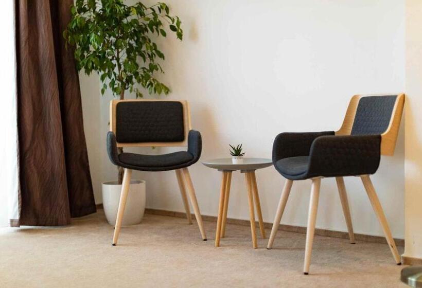 اتاق سوپریور, Penzion Uno