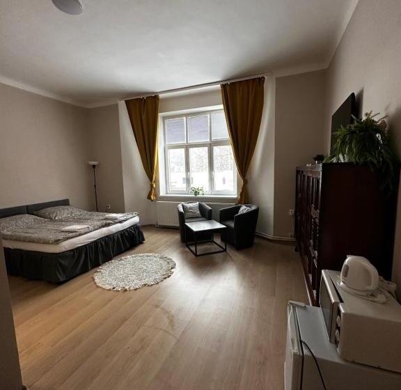 اتاق استاندارد, Pension Moravia