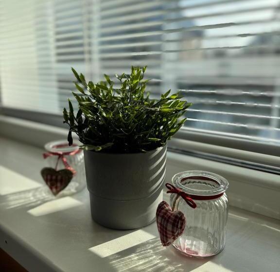 اتاق استاندارد چهار تخته, Pension Moravia