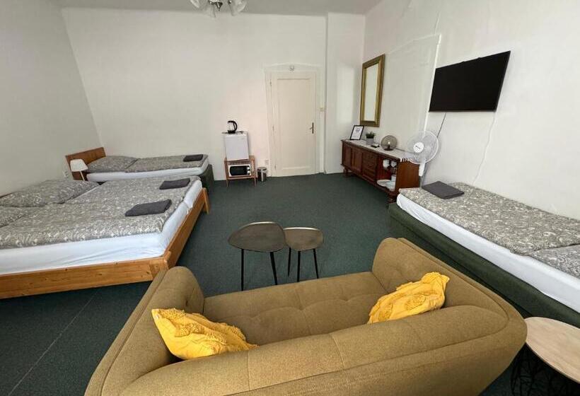 اتاق استاندارد چهار تخته, Pension Moravia