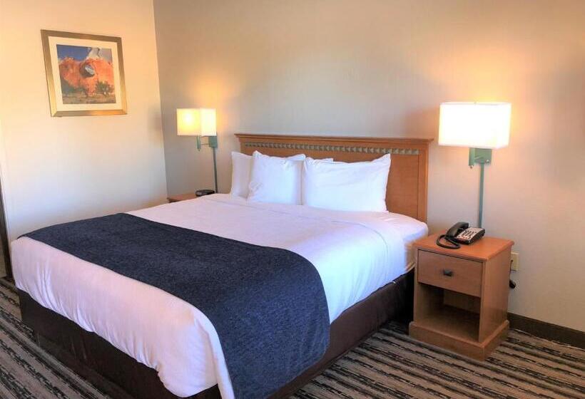 キングサイズベッドのスタンダードルーム, Navajoland Inn