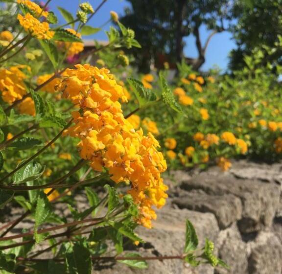 Студио Стандарт Вид на Сад, Costa Residence Vacanze