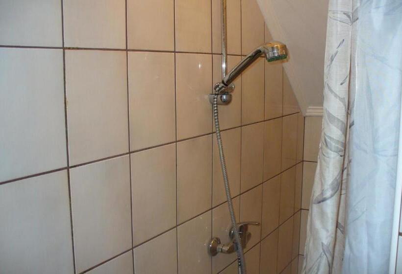 شقة غرفة واحدة, Györgyi Haus