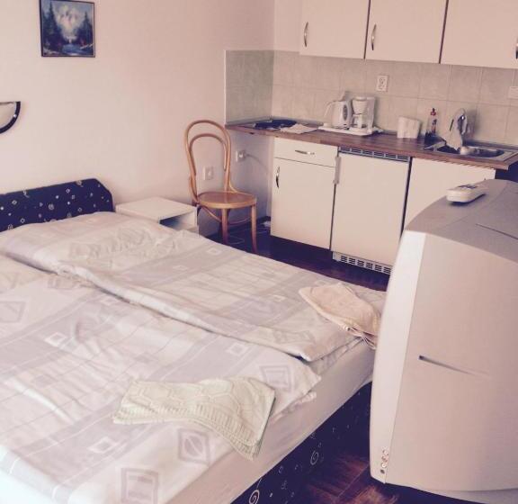 إستوديو قياسى, Györgyi Haus