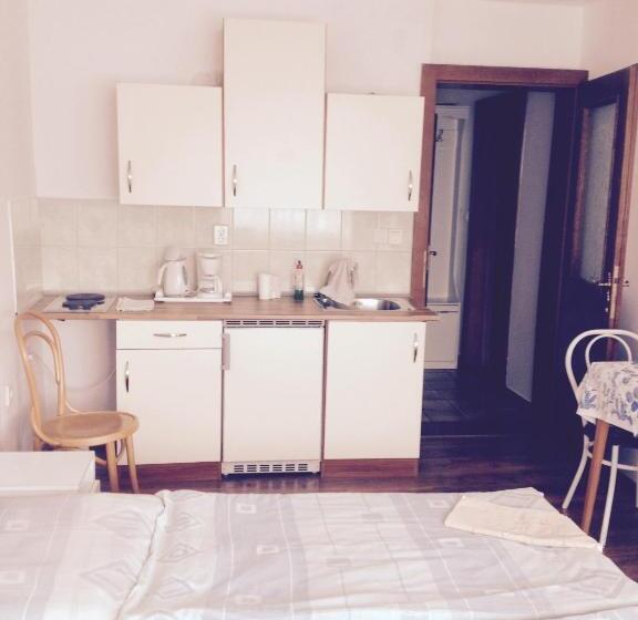 إستوديو قياسى, Györgyi Haus