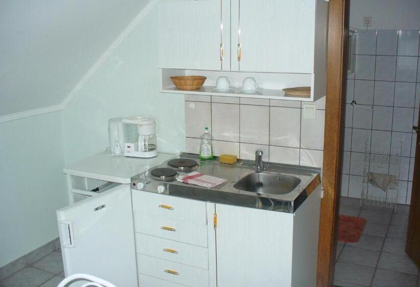 شقة ديلوكس غرفة نوم واحدة, Györgyi Haus