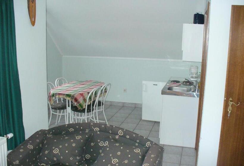 شقة ديلوكس غرفة نوم واحدة, Györgyi Haus