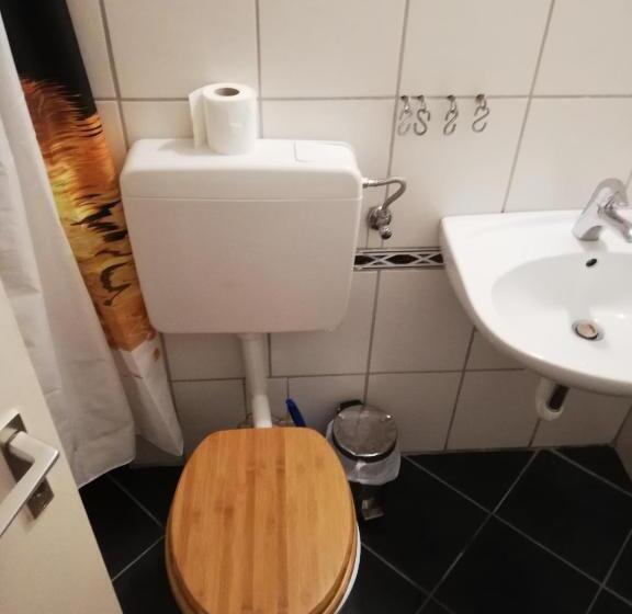 Quarto Economy, Vogesenblick Oetjens