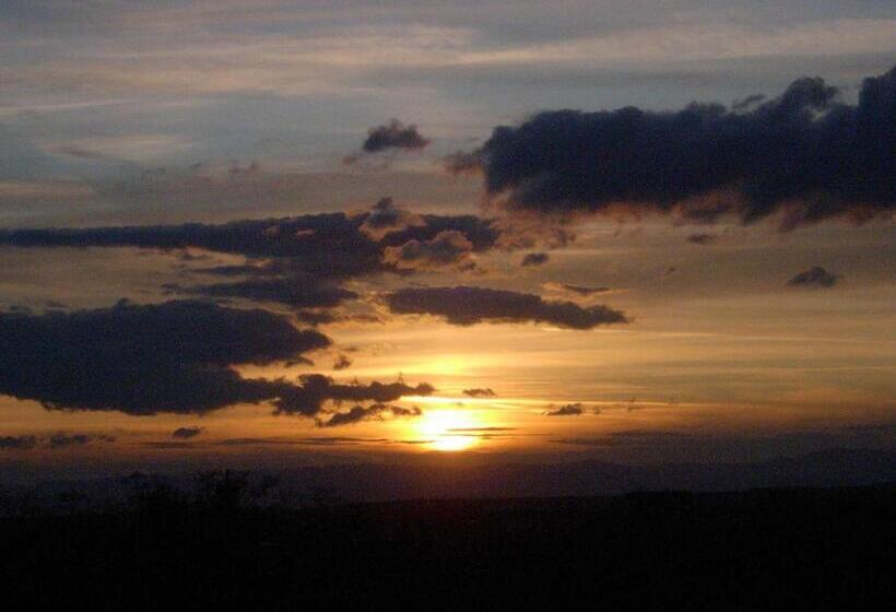 Quarto Comfort, Vogesenblick Oetjens