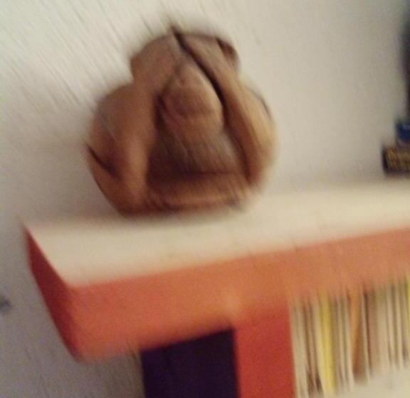 Quarto standard, Vogesenblick Oetjens