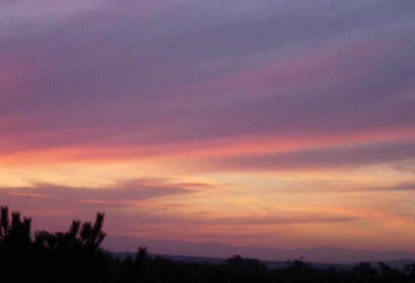 Quarto Economy, Vogesenblick Oetjens