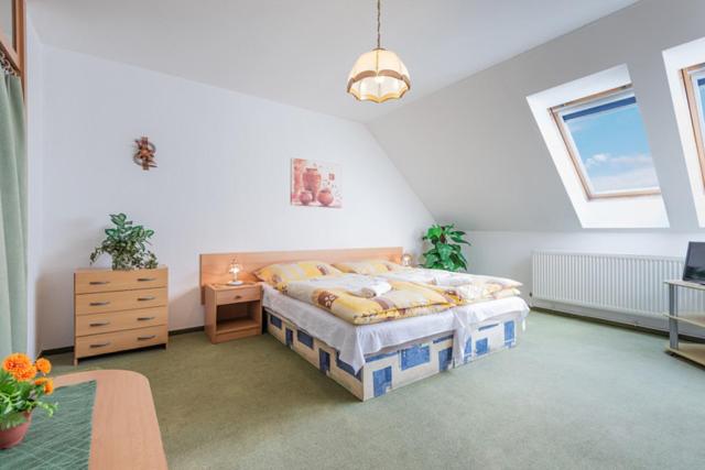 شقة غرفة واحدة, Pension U Mydlářů