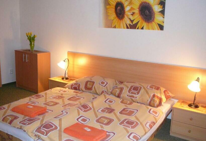 شقة غرفة واحدة, Pension U Mydlářů