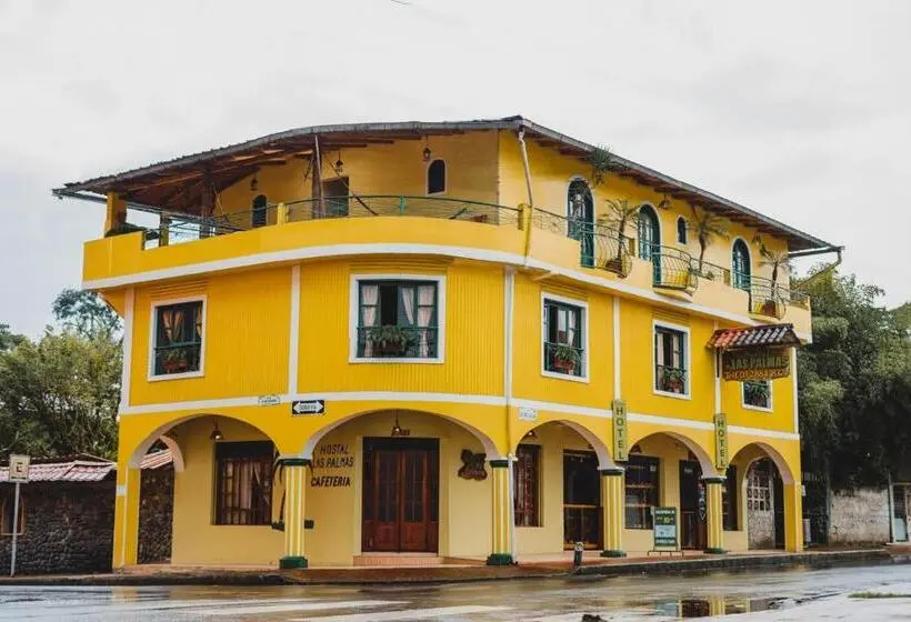 スタンダードルーム, Hostal Las Palmas