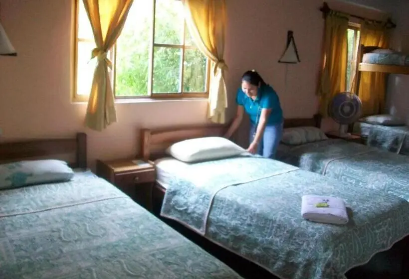 スタンダード5人部屋, Hostal Las Palmas