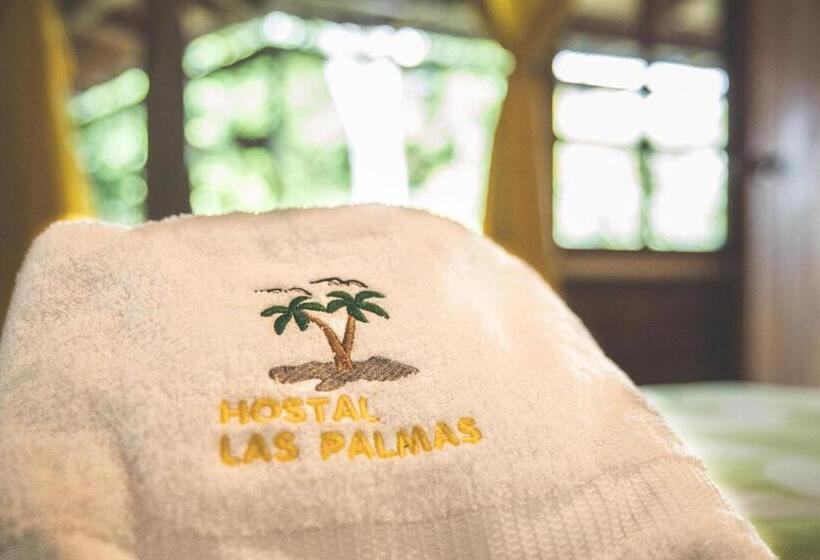 Номер Стандарт, Hostal Las Palmas