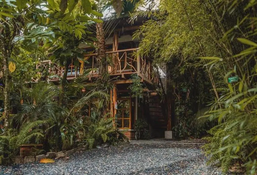 スーペリアシングルルーム, Hostal Las Palmas