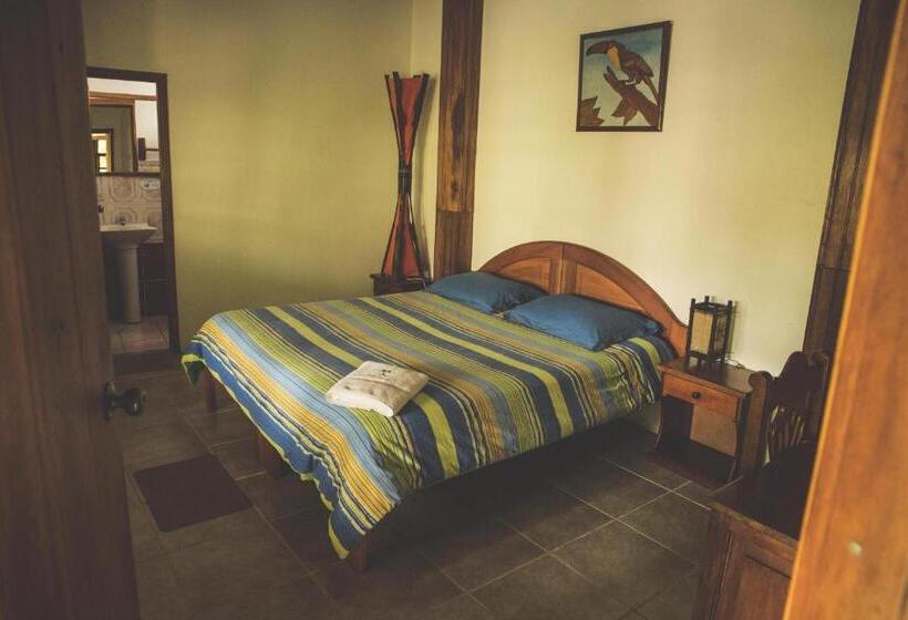 수피리어 싱글 룸, Hostal Las Palmas