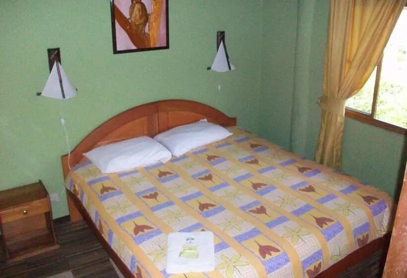 スタンダードシングルルーム, Hostal Las Palmas