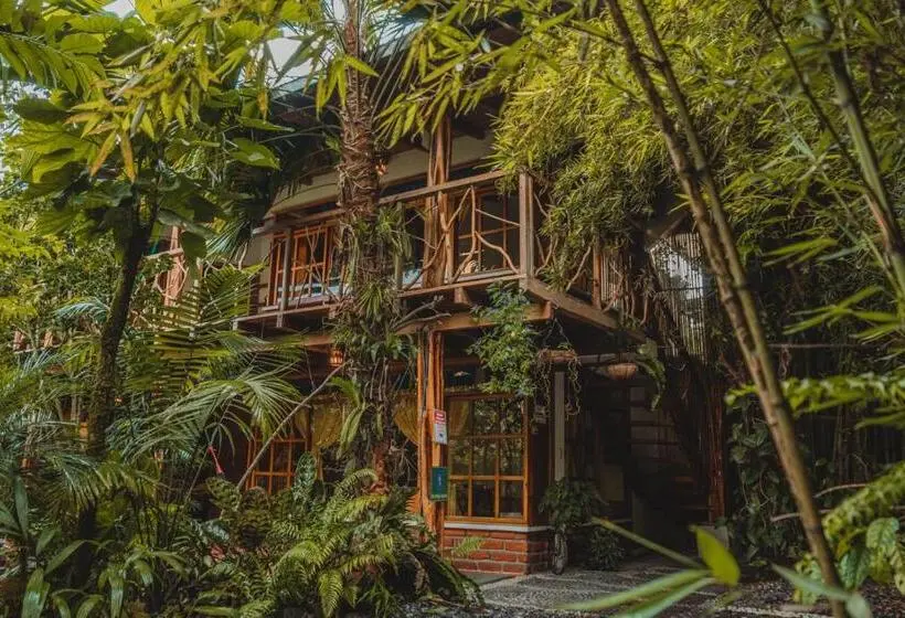 スーペリアトリプルルーム, Hostal Las Palmas