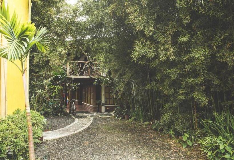 4인용 수피리어 룸, Hostal Las Palmas