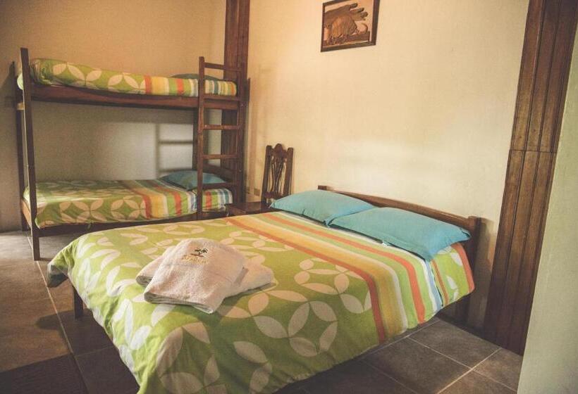 4인용 수피리어 룸, Hostal Las Palmas