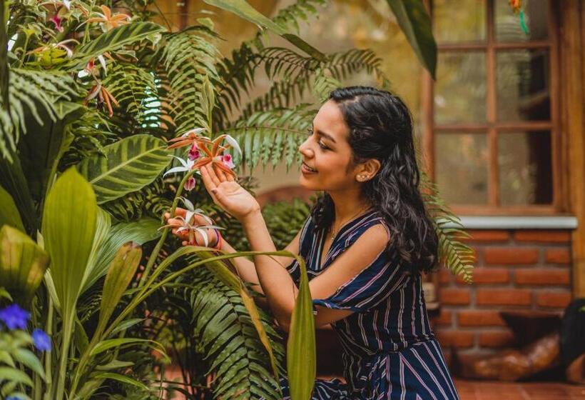 수피리어 룸, Hostal Las Palmas