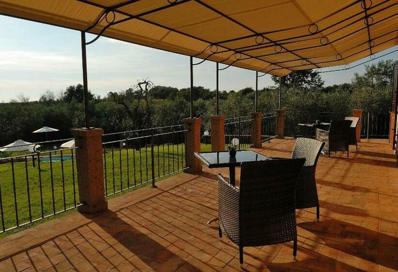 スタンダードルーム, Cerchio Verde