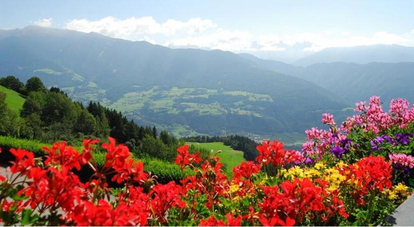 اتاق استاندارد, Stocknerhof