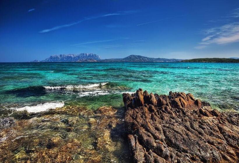 带1个卧室的带海景的公寓, Le Dimore Di Nettuno   Happy Rentals