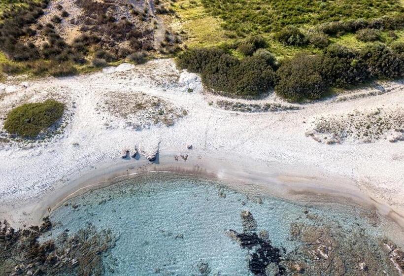 带1个卧室的带海景的公寓, Le Dimore Di Nettuno   Happy Rentals