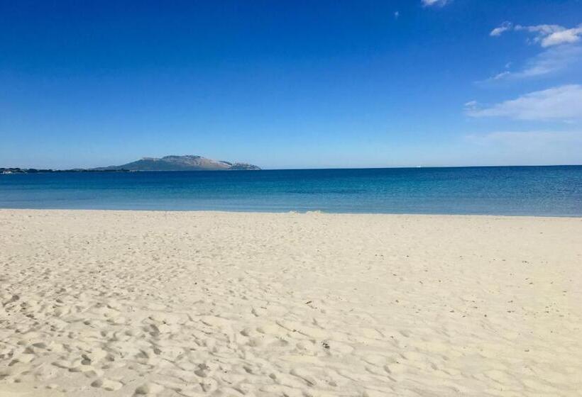 带1个卧室的带海景的公寓, Le Dimore Di Nettuno   Happy Rentals