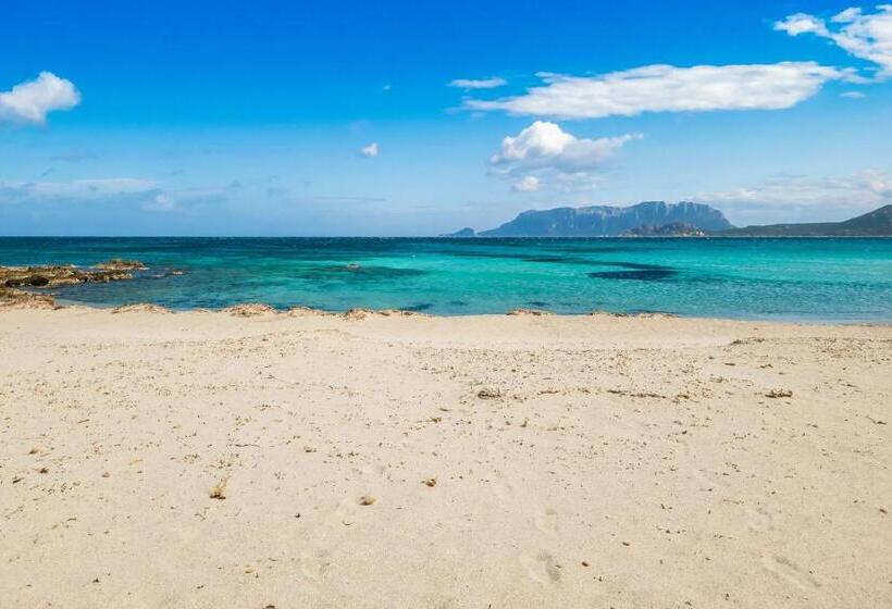 带2个卧室带海景的公寓, Le Dimore Di Nettuno   Happy Rentals