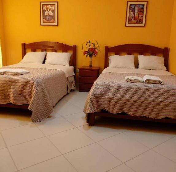 اتاق اکونومی, Y Restaurante Roma