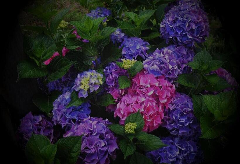 غرفة ديلوكس, Agriturismo Al Castagneto