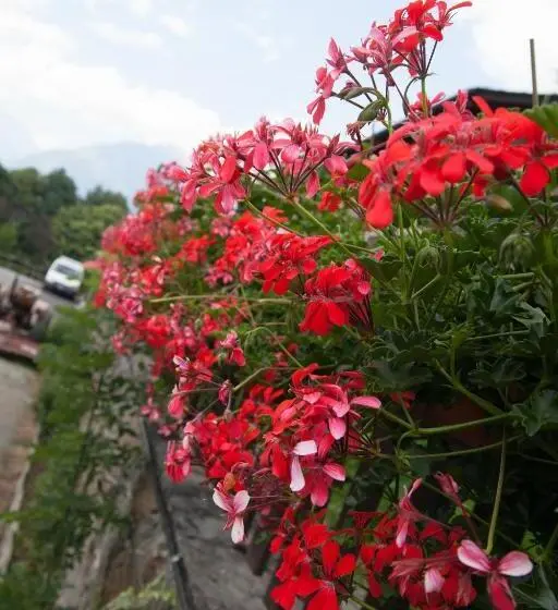 デラックスルーム, Agriturismo Al Castagneto