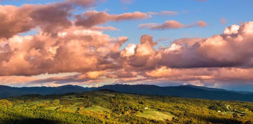 3ベッドルームアパートメント, Terra Di Michelangelo