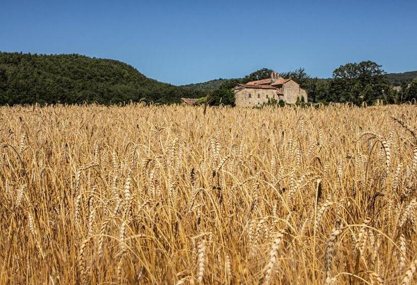 プールビュースタンダードステューディオ, Terra Di Michelangelo