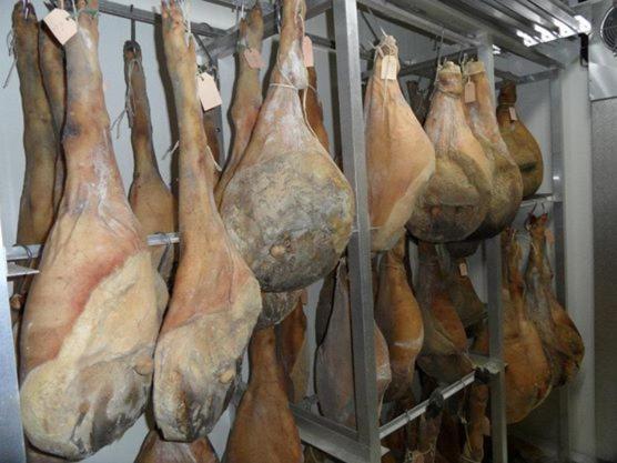 شقة غرفة واحدة مطلة على الحديقة, Terra Di Michelangelo