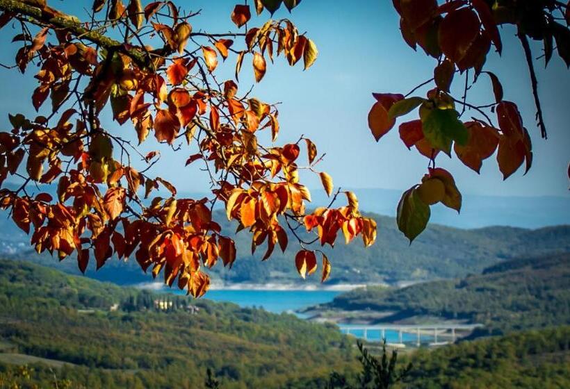 2ベッドルームアパートメント, Terra Di Michelangelo