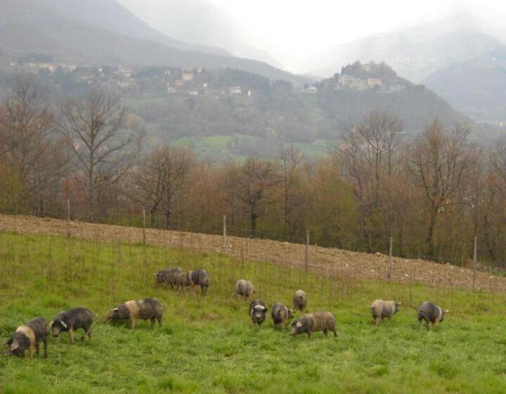 Standard studio with lake view, Terra Di Michelangelo