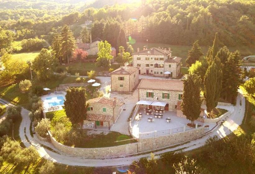 プールビュースタンダードステューディオ, Terra Di Michelangelo