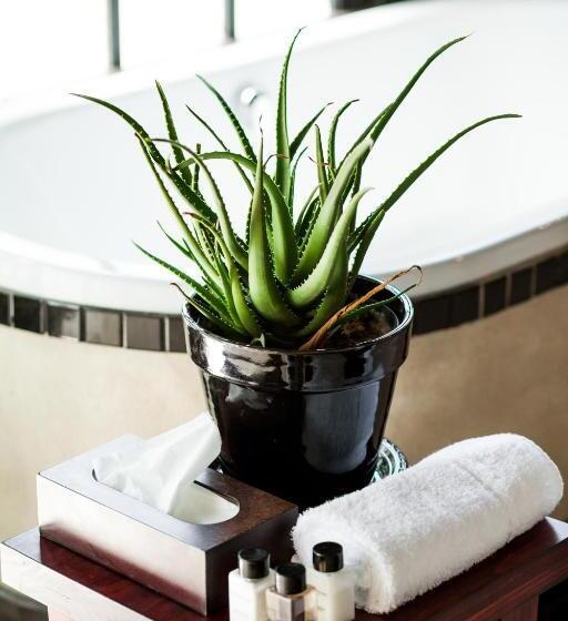 חדר אקזקיוטיב, Firlane House